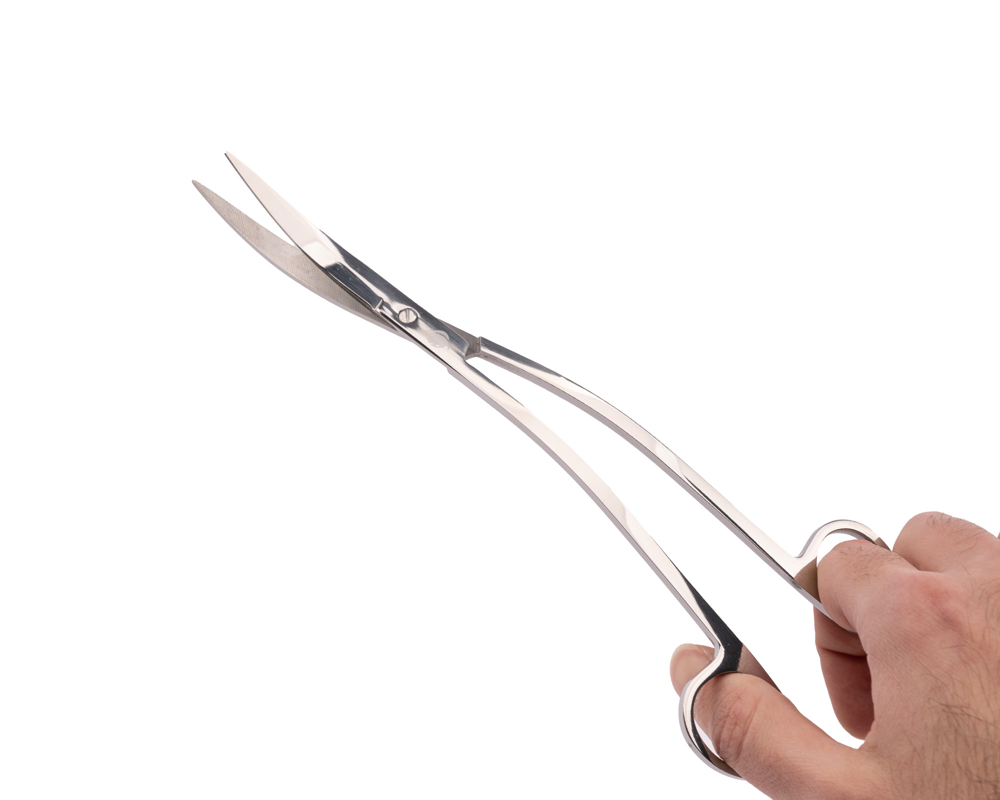 Hand hält lange gebogene Schere aus Edelstahl